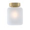 Westinghouse Fixture Ceiling SemiFlush-Mount 60W Judd 8In Chmpgn Brass Frosted Glass 6131100 - alternate 1